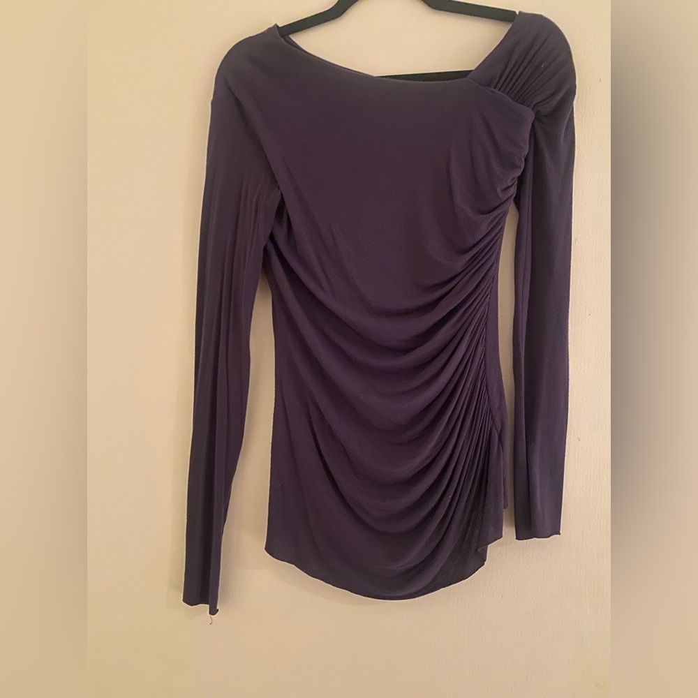Bailey44 pleaded fitted top. fairly new 94% rayon 6% spandex